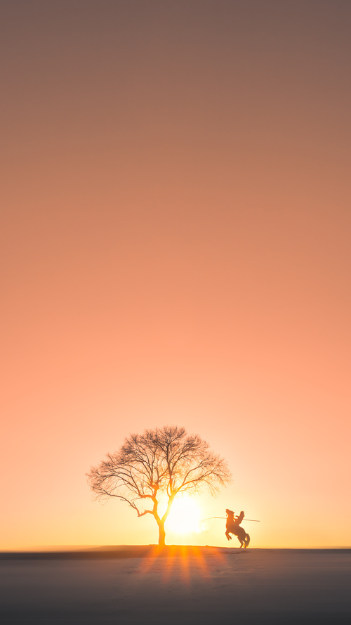 “扣篮王揭秘：联盟最炫酷的扣篮技巧”，扣篮的技巧视频