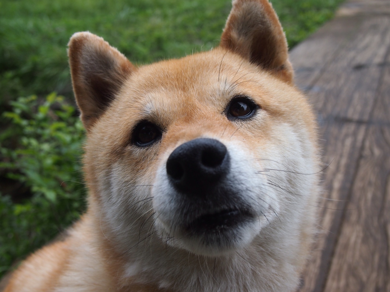 《劲舞团》全国联赛与《节奏大师》线上赛的音乐游戏电竞化，day by day劲舞团