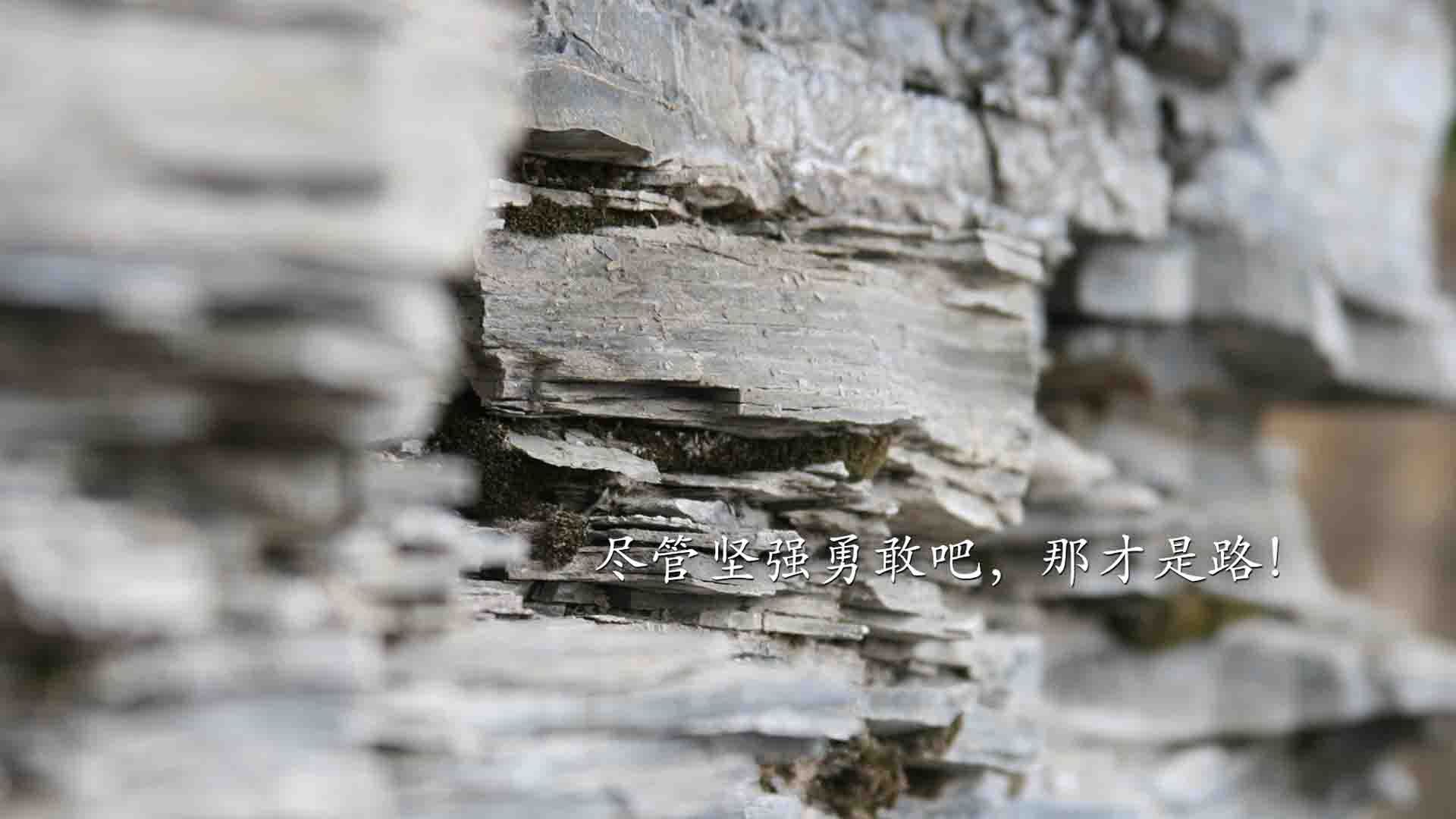 世界排球锦标赛预选赛激战正酣,中国队稳步前进,排球世界锦标赛赛程时间安排